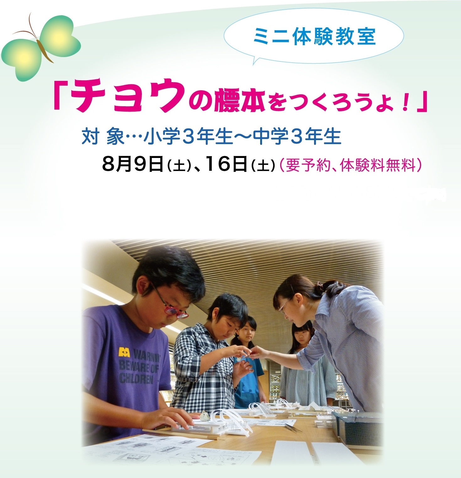 http://www.kameimuseum.or.jp/topics/2014/07/09/%E3%83%81%E3%83%A9%E3%82%B7%E8%9D%B6.jpg